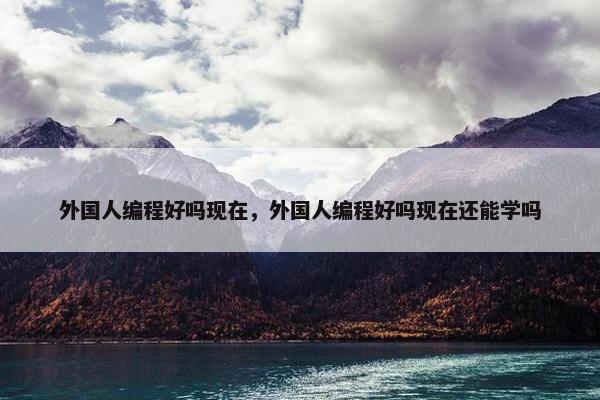 外国人编程好吗现在，外国人编程好吗现在还能学吗