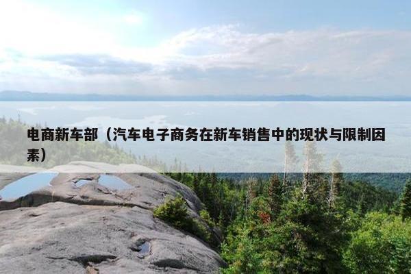 电商新车部（汽车电子商务在新车销售中的现状与限制因素）