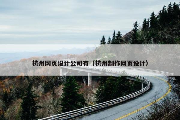 杭州网页设计公司有（杭州制作网页设计）