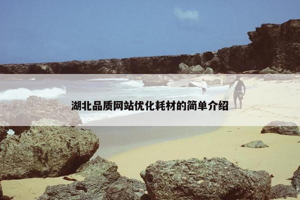 湖北品质网站优化耗材的简单介绍