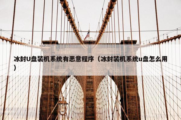冰封U盘装机系统有恶意程序（冰封装机系统u盘怎么用）
