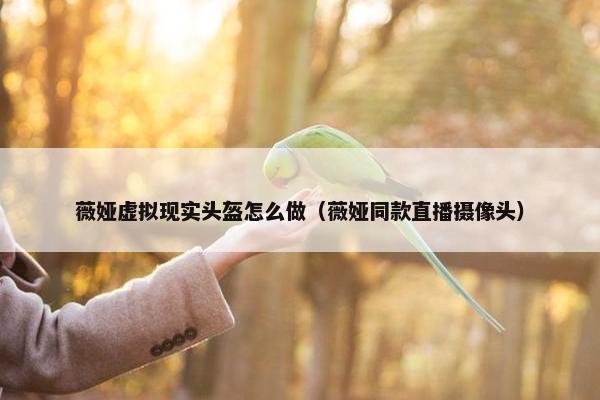 薇娅虚拟现实头盔怎么做（薇娅同款直播摄像头）