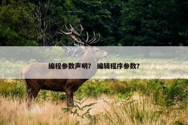 编程参数声明？ 编辑程序参数？