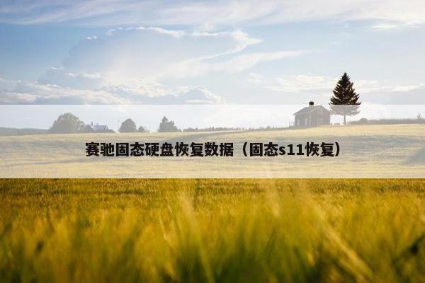 赛驰固态硬盘恢复数据（固态s11恢复）