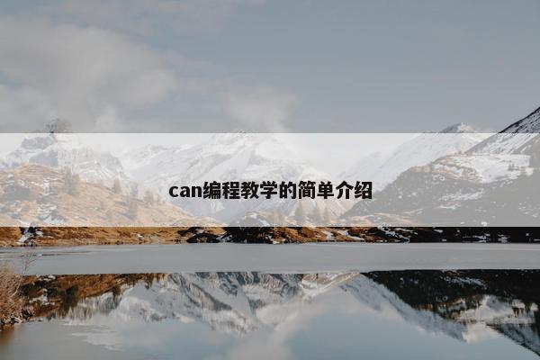 can编程教学的简单介绍