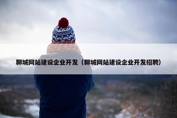 聊城网站建设企业开发（聊城网站建设企业开发招聘）