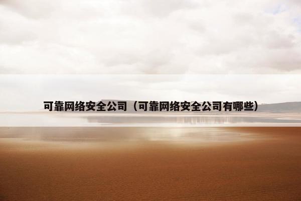 可靠网络安全公司（可靠网络安全公司有哪些）