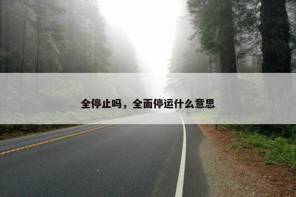 全停止吗，全面停运什么意思