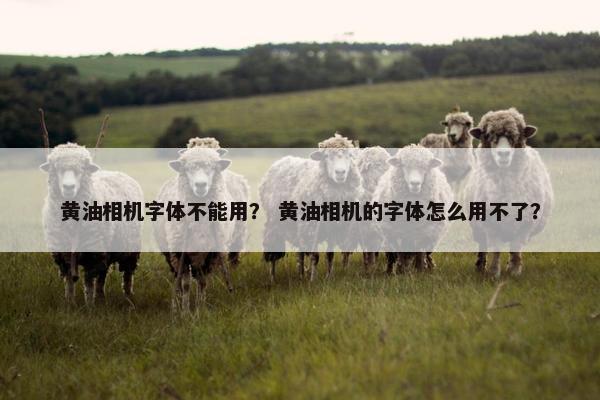 黄油相机字体不能用？ 黄油相机的字体怎么用不了？