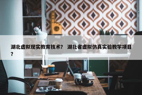 湖北虚拟现实教育技术？ 湖北省虚拟仿真实验教学项目？
