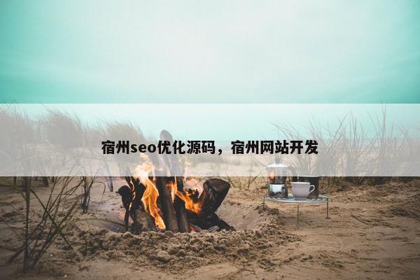 宿州seo优化源码，宿州网站开发