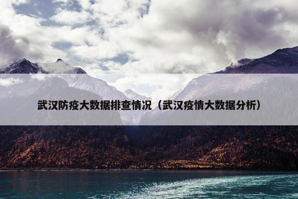 武汉防疫大数据排查情况（武汉疫情大数据分析）