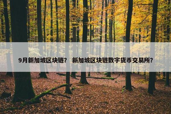9月新加坡区块链？ 新加坡区块链数字货币交易所？