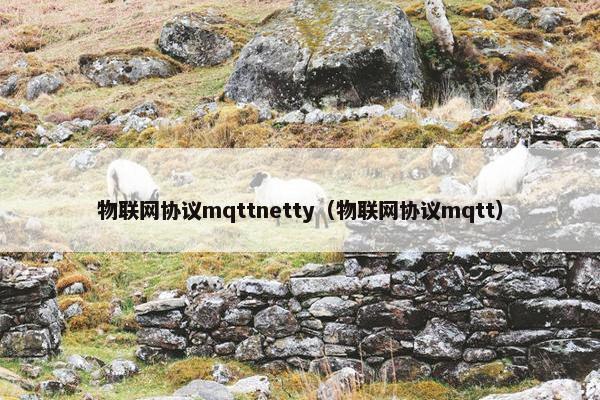 物联网协议mqttnetty（物联网协议mqtt）