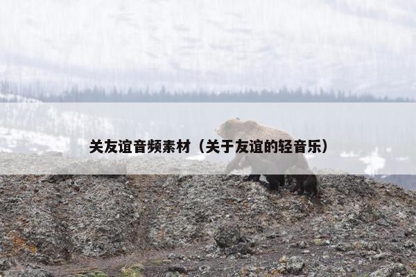 关友谊音频素材（关于友谊的轻音乐）