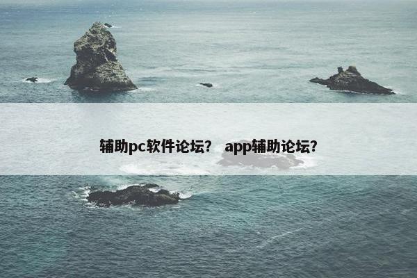 辅助pc软件论坛？ app辅助论坛？