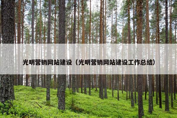 光明营销网站建设（光明营销网站建设工作总结）