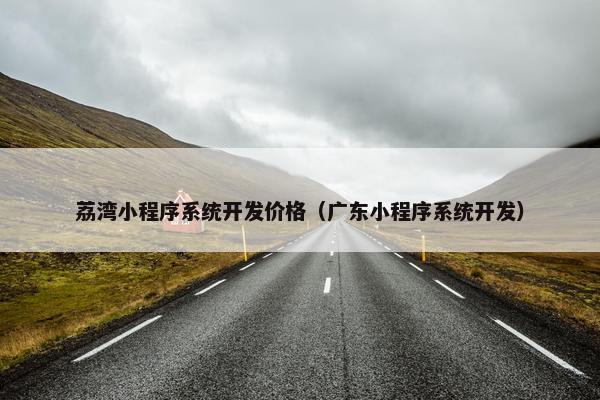 荔湾小程序系统开发价格（广东小程序系统开发）