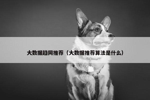 大数据趋同推荐（大数据推荐算法是什么）