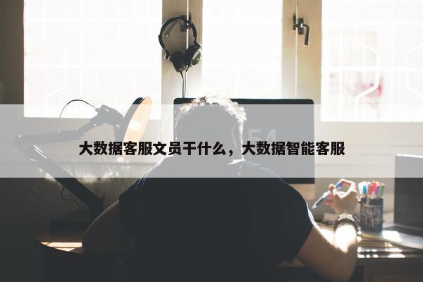 大数据客服文员干什么，大数据智能客服