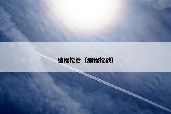 编程枪管（编程枪战）