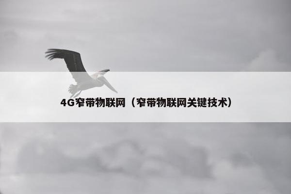 4G窄带物联网（窄带物联网关键技术）