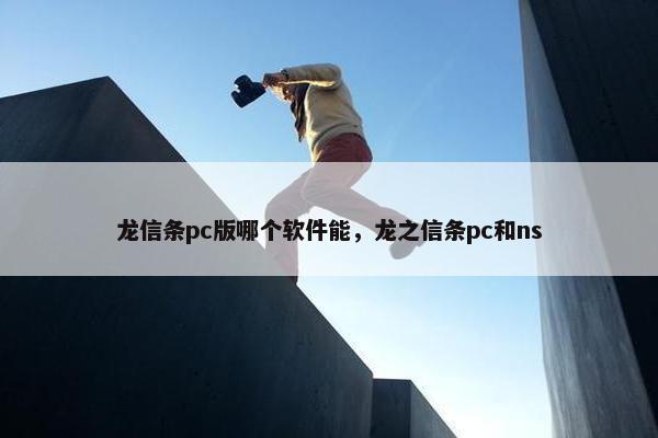 龙信条pc版哪个软件能，龙之信条pc和ns