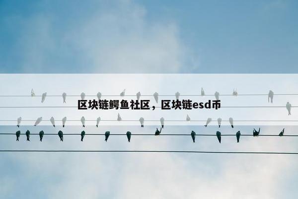 区块链鳄鱼社区，区块链esd币