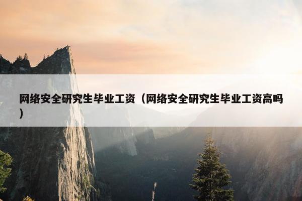 网络安全研究生毕业工资（网络安全研究生毕业工资高吗）