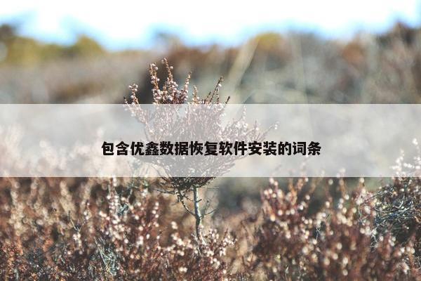 包含优鑫数据恢复软件安装的词条