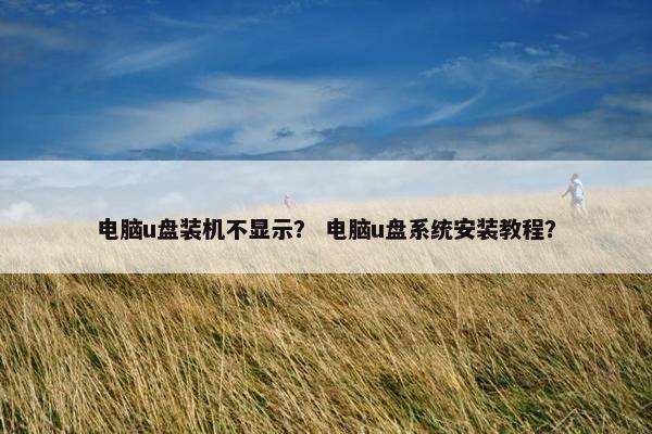 电脑u盘装机不显示？ 电脑u盘系统安装教程？