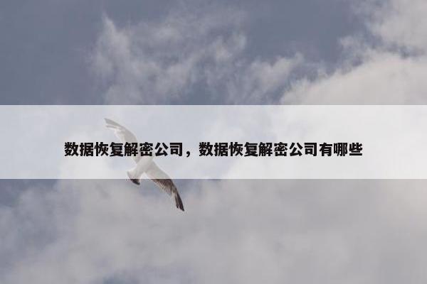 数据恢复解密公司，数据恢复解密公司有哪些