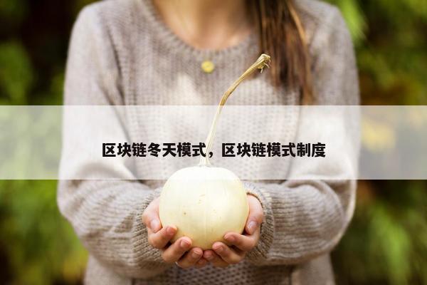 区块链冬天模式，区块链模式制度