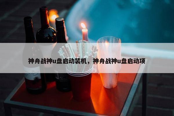 神舟战神u盘启动装机，神舟战神u盘启动项