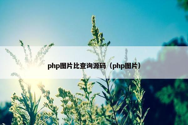 php图片比查询源码（php图片）