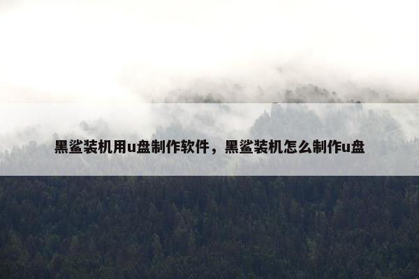 黑鲨装机用u盘制作软件，黑鲨装机怎么制作u盘