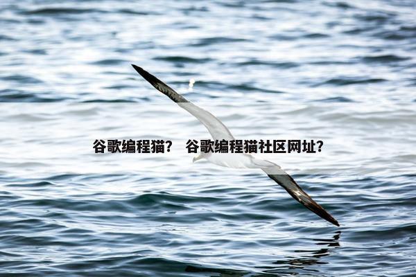 谷歌编程猫？ 谷歌编程猫社区网址？