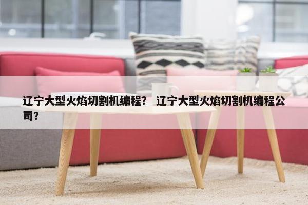 辽宁大型火焰切割机编程？ 辽宁大型火焰切割机编程公司？