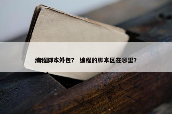 编程脚本外包？ 编程的脚本区在哪里？