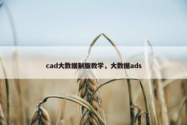 cad大数据制版教学，大数据ads