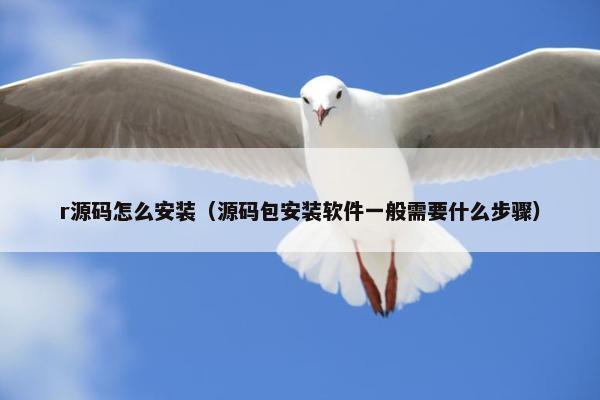r源码怎么安装（源码包安装软件一般需要什么步骤）