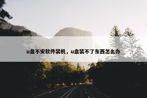 u盘不安软件装机，u盘装不了东西怎么办