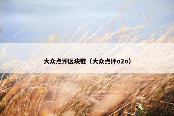 大众点评区块链（大众点评o2o）