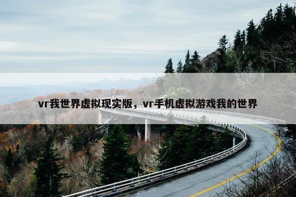 vr我世界虚拟现实版，vr手机虚拟游戏我的世界