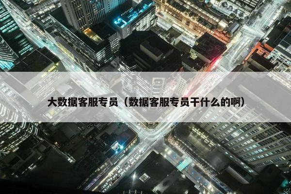 大数据客服专员（数据客服专员干什么的啊）