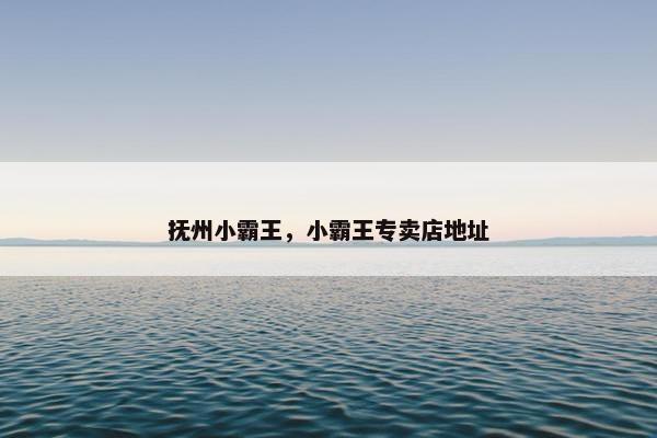 抚州小霸王，小霸王专卖店地址