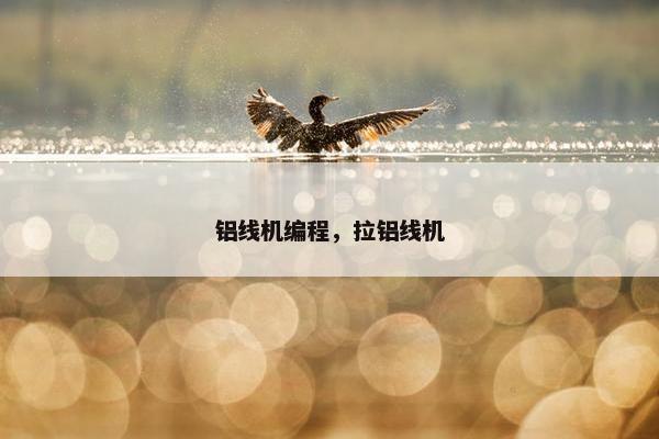 铝线机编程，拉铝线机