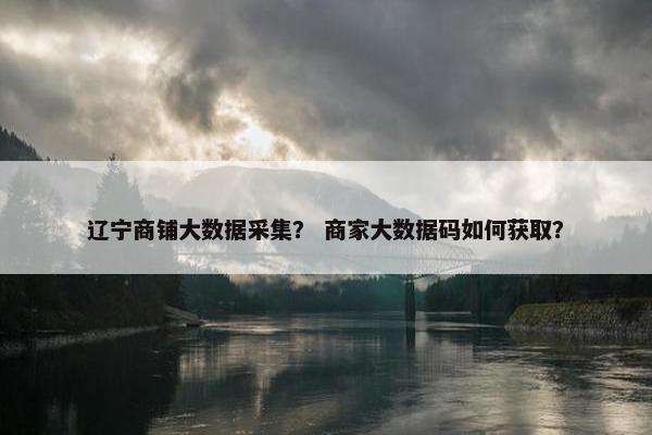 辽宁商铺大数据采集？ 商家大数据码如何获取？