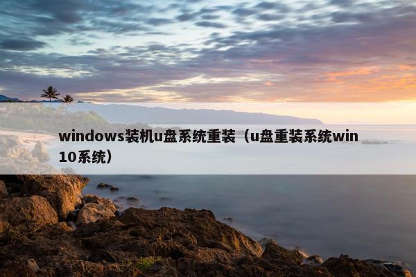 windows装机u盘系统重装（u盘重装系统win10系统）