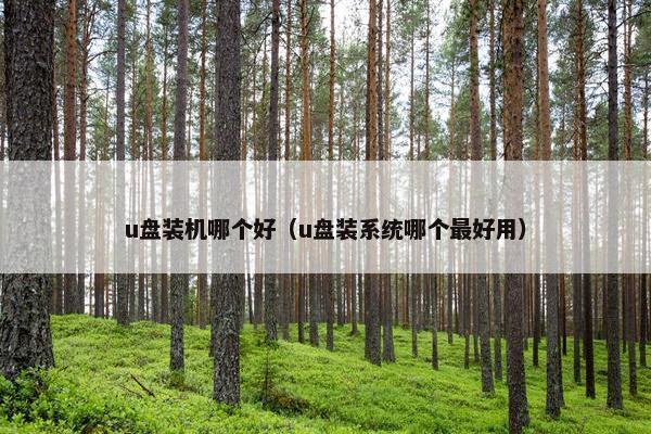 u盘装机哪个好（u盘装系统哪个最好用）